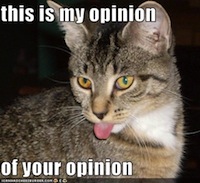 My Opinion of Your Opinion
