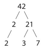 Prime Factorization