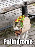 TACOCAT is a palindrome!